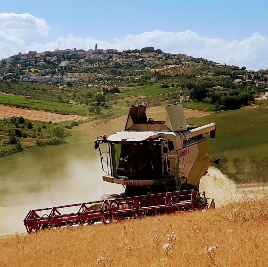 צ'יטה סנט'אנג'לו Tenuta Coppa Zuccari מראה חיצוני תמונה